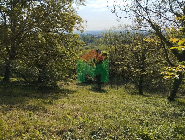 Eladó mezogazdasagi ingatlan, Marcaliban 3 M Ft