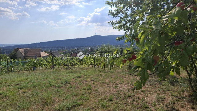 Eladó telek, Pécsett, Cserbokros dűlőn 4.7 M Ft