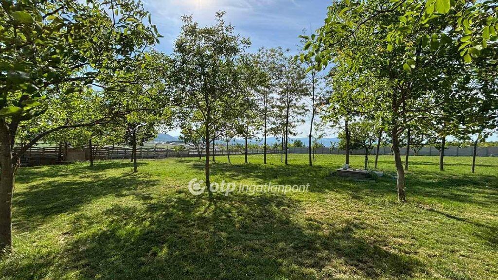 5 bed · 150m² · 320.000.000 ft