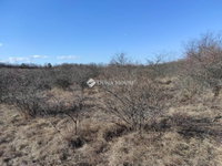 Eladó mezogazdasagi ingatlan, Csomádon 11.7 M Ft