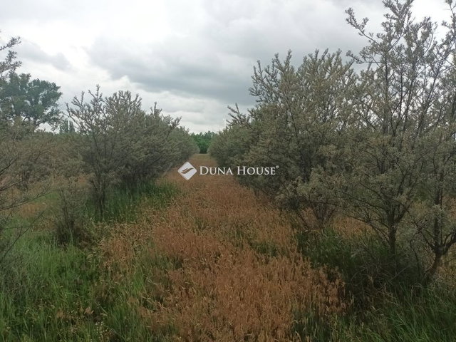 Eladó mezogazdasagi ingatlan, Hernádon 5.5 M Ft