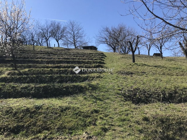 Eladó telek, Móron 13.5 M Ft / költözzbe.hu