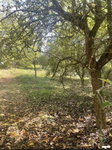 Eladó telek, Kaposváron, Százszorszép utcában 2.2 M Ft