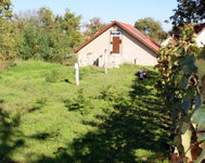 Eladó mezogazdasagi ingatlan, Hajóson 8.5 M Ft