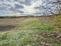 Eladó telek, Bakonycsernyén 4.5 M Ft / költözzbe.hu