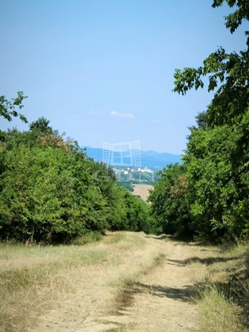 Eladó mezogazdasagi ingatlan, Vácon 1.8 M Ft