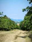 Eladó mezogazdasagi ingatlan, Vácon 1.8 M Ft