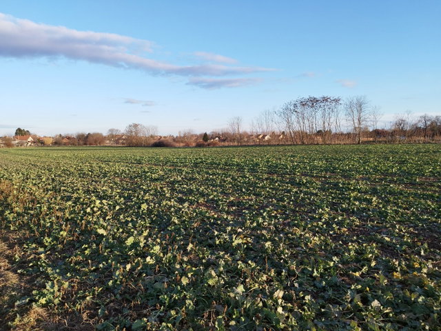 Eladó telek, Hatvanban 150 M Ft / költözzbe.hu