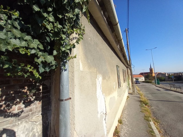 Kiadó családi ház, albérlet, Pécsett, Kálvária utcában