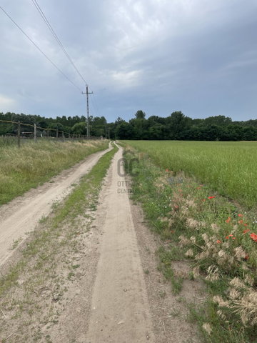 Eladó mezogazdasagi ingatlan, Monoron 34.9 M Ft