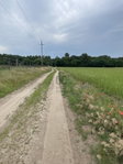 Eladó mezogazdasagi ingatlan, Monoron 34.9 M Ft