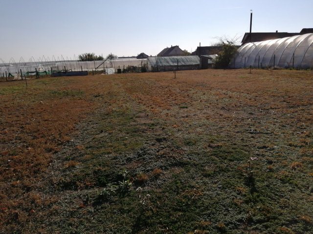 Eladó telek, Szentlőrinckátán 5.5 M Ft / költözzbe.hu