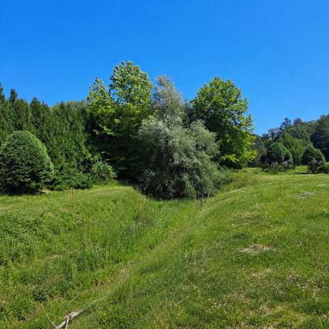 Eladó telek, Nemesmedvesen 73.5 M Ft / költözzbe.hu