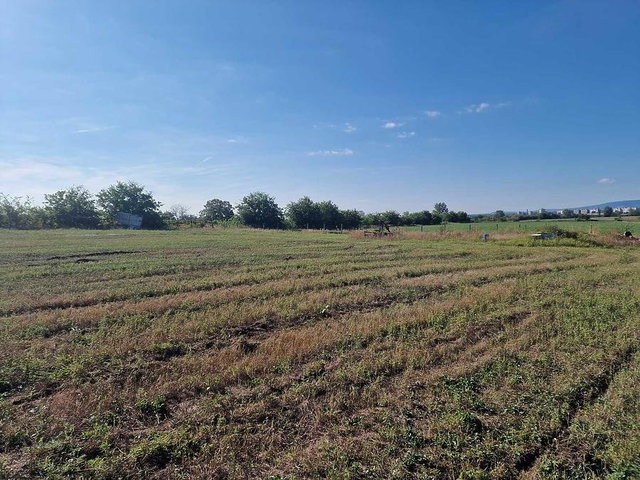 Eladó mezogazdasagi ingatlan, Dunakeszin 80 M Ft