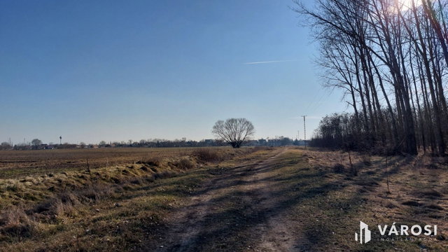 Eladó mezogazdasagi ingatlan, Hosszúpályin 249 M Ft