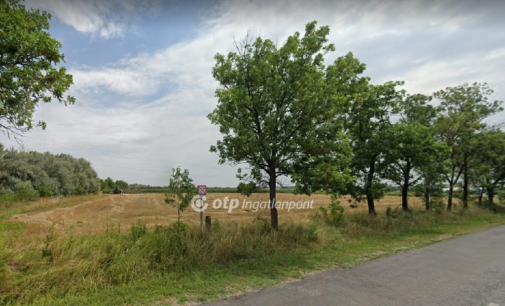 9291m² · 5.000.000 ft