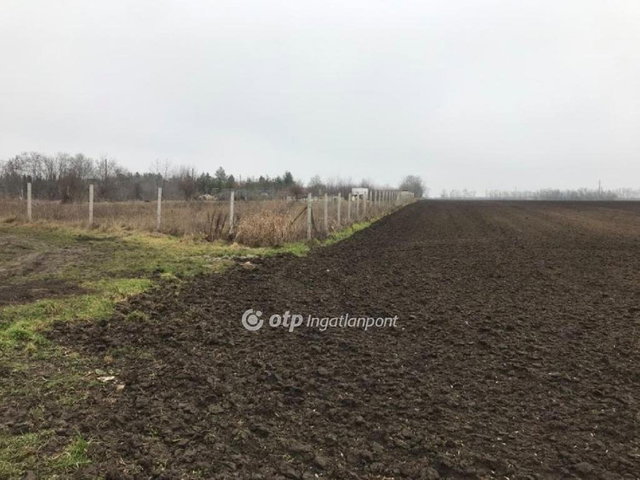 Eladó telek, Velencén 30 M Ft / költözzbe.hu