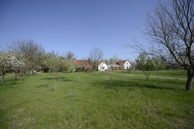 Eladó mezogazdasagi ingatlan, Zákányszéken 220 M Ft
