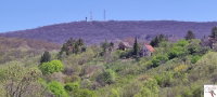 Eladó telek, Pécsett 13 M Ft / költözzbe.hu