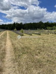 Eladó telek, Gödöllőn 95 M Ft / költözzbe.hu
