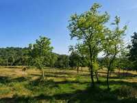 Eladó telek, Cserszegtomajon 22.99 M Ft / költözzbe.hu