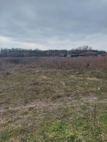 Eladó telek, Dabason 57 M Ft / költözzbe.hu