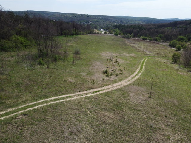 Eladó mezogazdasagi ingatlan, Isaszegen 39 M Ft