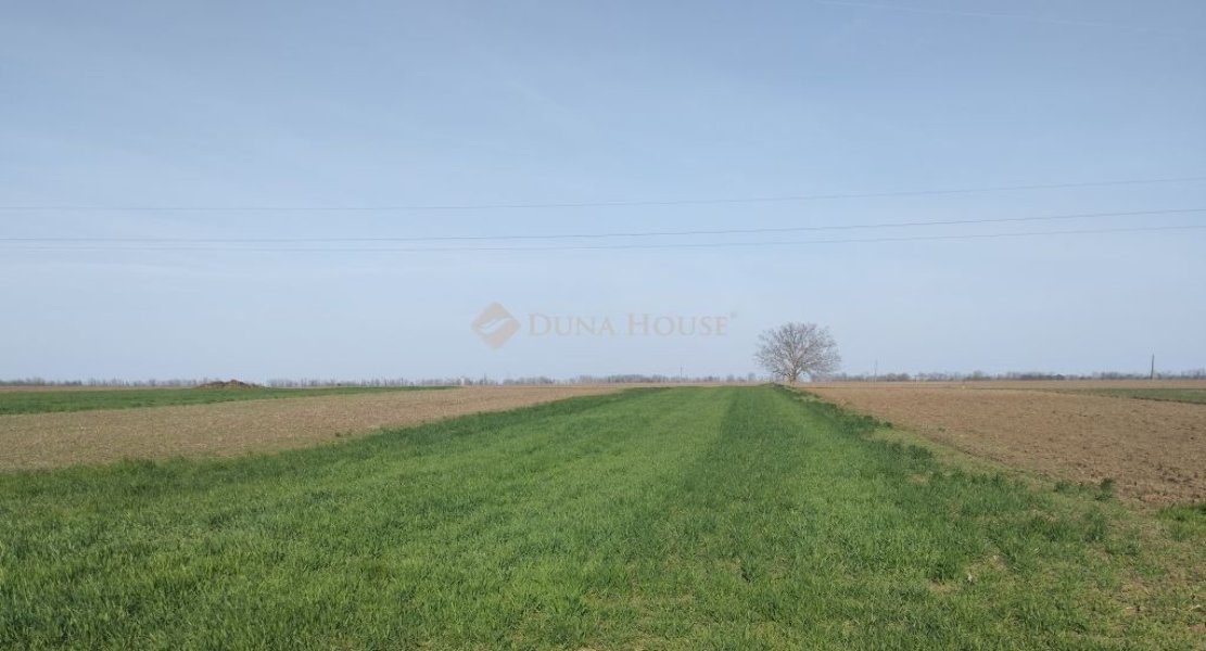 1594m² · 10.800.000 ft