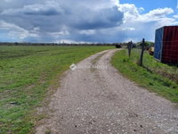 Eladó mezogazdasagi ingatlan, Pomázon 45 M Ft