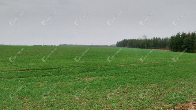 Eladó telek, Hegyhátszentjakabon 10 M Ft / költözzbe.hu