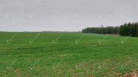 Eladó telek, Hegyhátszentjakabon 10 M Ft / költözzbe.hu