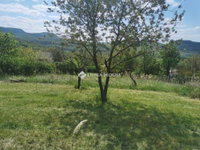 Eladó nyaraló, Esztergomban 28.6 M Ft, 2 szobás