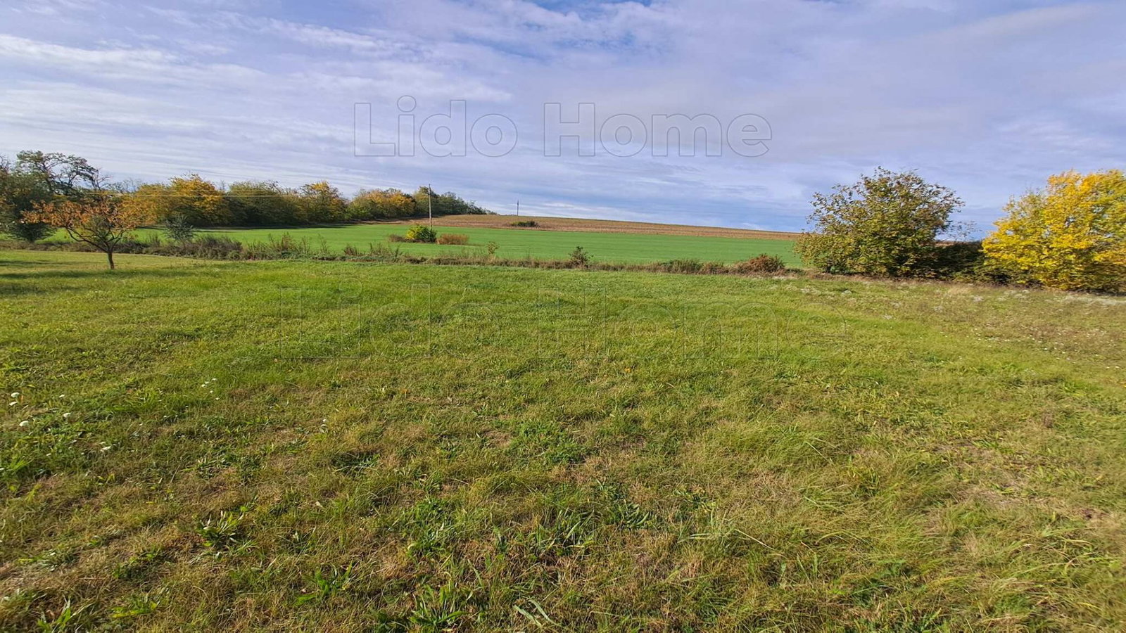 1148 m² · 8.500.000 Ft