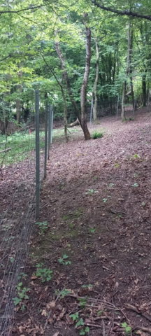 Eladó telek, Sopronban 34.9 M Ft / költözzbe.hu