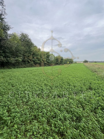 Eladó mezogazdasagi ingatlan, Balatonbogláron 3.5 M Ft
