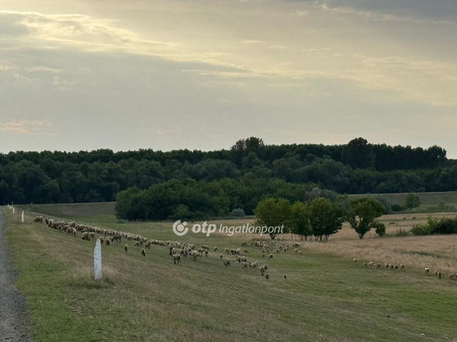 Eladó mezogazdasagi ingatlan, Deszken 89 M Ft