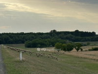 Eladó mezogazdasagi ingatlan, Deszken 89 M Ft