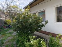 Eladó családi ház, XVIII. kerületben, Baross utcában 94 M Ft