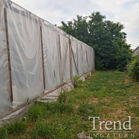 Eladó telek, Szabadegyházán 6 M Ft, 6 szobás