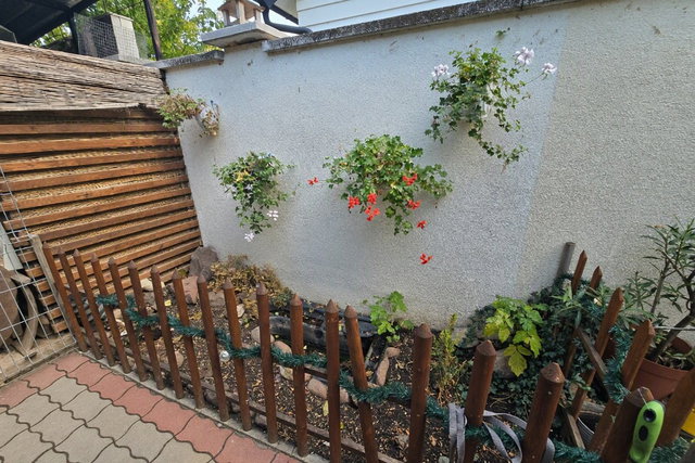 Eladó családi ház, Balatonalmádiban 49.9 M Ft, 1 szobás