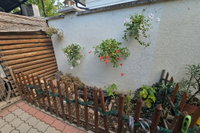 Eladó családi ház, Balatonalmádiban 49.9 M Ft, 1 szobás