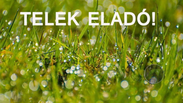 Eladó telek, Keszthelyen 31.9 M Ft / költözzbe.hu
