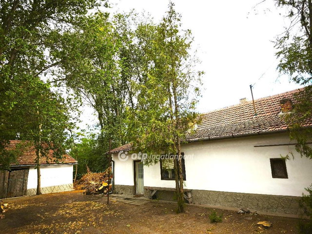 Eladó családi ház, Tiszakécskén 20 M Ft, 2 szobás