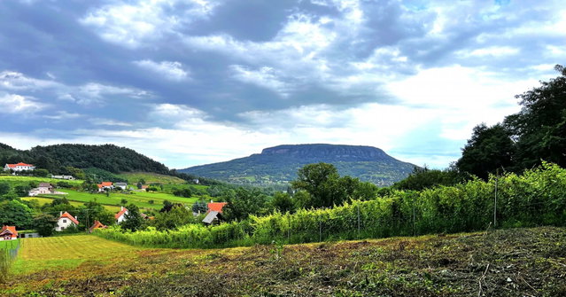 Eladó telek, Szigligeten, Külsőhegyi úton 51 M Ft