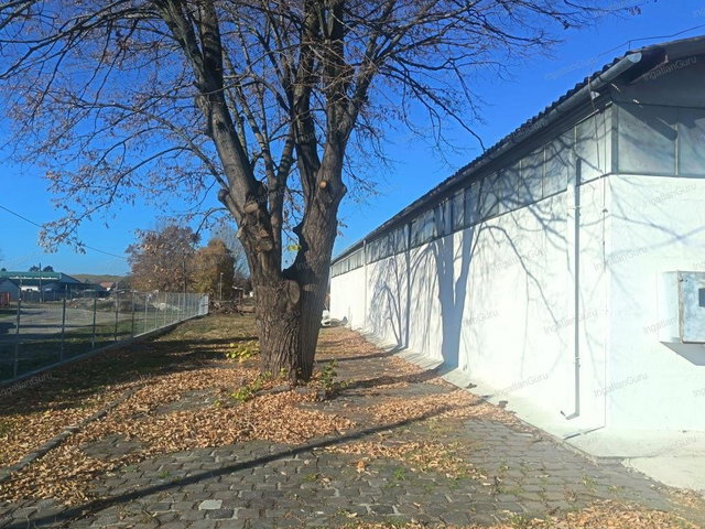 Kiadó ipari ingatlan, Albertirsán 1259 E Ft / hó