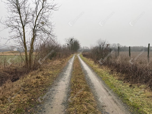 Eladó telek, Zalaegerszegen 4.9 M Ft / költözzbe.hu