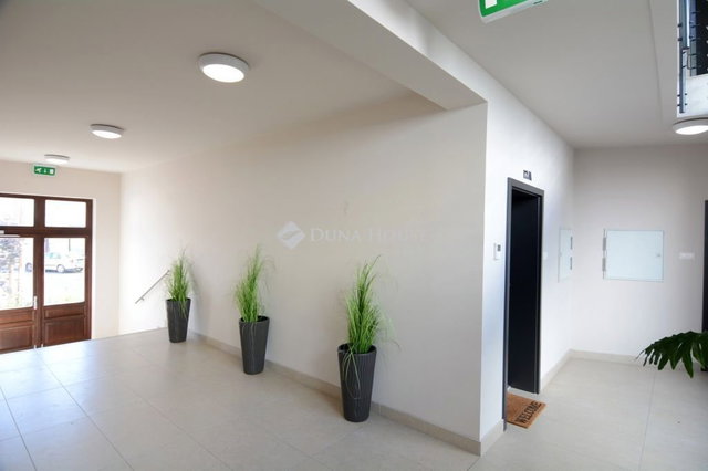 Kiadó téglalakás, albérlet, Kecskeméten 290 E Ft / hó