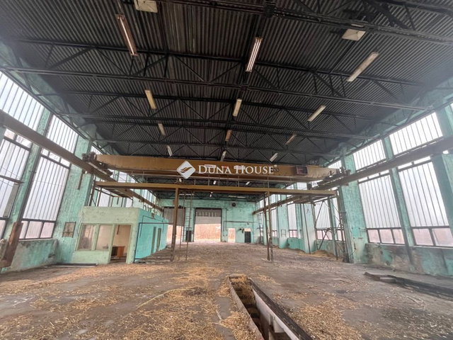 Eladó ipari ingatlan, Bácsszőlősön 85 M Ft