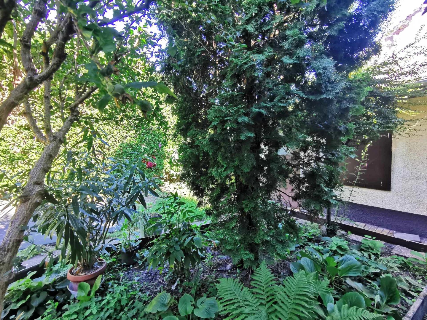 2 bed · 60m² · 300.000 ft