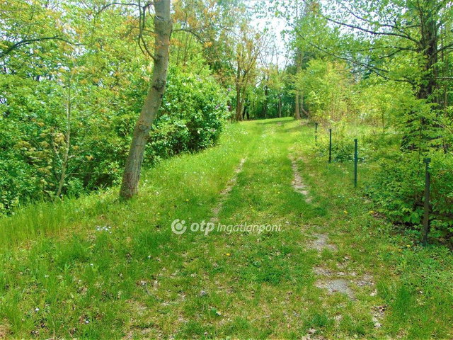Eladó telek, Zalaegerszegen 3.9 M Ft / költözzbe.hu
